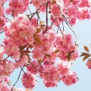 원주중앙요양원 이미지