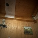 로뎀편백나무펜션 이미지