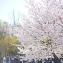 몽돌스테이1119 | 하루 일정으로 충분했던 봄여행 가볼만한곳 5곳