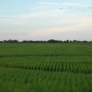 사림농장 이미지