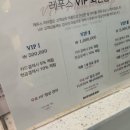 레푸스미아 이미지