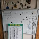 캠핑월드 | 충주 벚꽃 개화상태 충주호캠핑월드 글램핑 1박 솔직후기