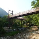 금산산림문화타운캠핑장 이미지