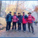 강천산군립공원(병풍폭포) 이미지