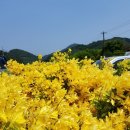 사철슈퍼 이미지