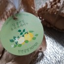 천연공방리페어