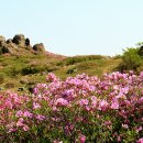 제26회 (05월 16일)정기산행 보성 초암산 산행안내 이미지