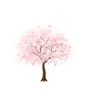 대우마린공인중개사사무소 이미지