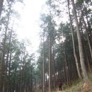 계척체육공원 이미지