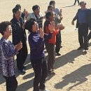 용문초등학교 이미지