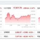 [글로벌뉴스] 8월26일(월) 이미지