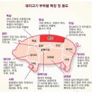 우리가 삼겹살 이미지