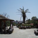 야자수정원 이미지