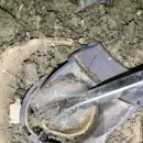 영등제일3차아파트 이미지