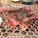 마약고기 이미지