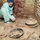 KING team FITNESS 이미지