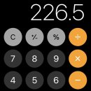 제주 보헤미안 이미지