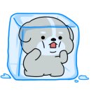 야외돼지 성서점 이미지