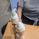 보승에너지 | 2025년 9월 일상 1