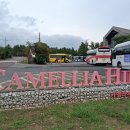 '팔순기념' 제주도 2박3일 가족여행 : 2일차(2025.10.21.화요일) 카멜리아힐 관광 이미지