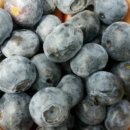 희석농장 이미지