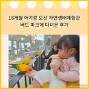 오산 | 18개월 아기랑 다녀온 오산 버드 파크 후기