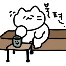 앨리의씨크릿