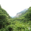 용문산보리밥 티스토리