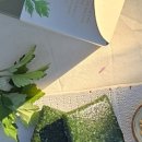 모정식품 네이버블로그