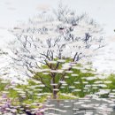 청운여관 이미지