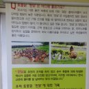 거시기삼계탕