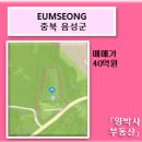 양박사부동산공인중개사사무소 이미지
