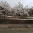 가양당구장 이미지