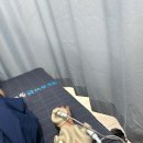 고익준피부과의원 이미지