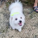 백두 동물병원 이미지