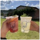 똥강아지 애견 이미지