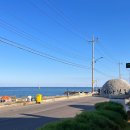 카페뜰,시나브로 이미지