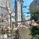 부영선지국 이미지