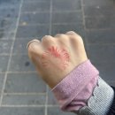 조암 핫 뽑기샵 | 부산 센텀시티 해운대 놀거리 산타마을 크리스미스 빌리지 평일 주말 무료입장 후기