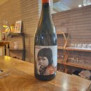 디토스테이 이미지