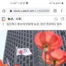 LG트윈타워 청소노동자 농성 종료.."전원 마포빌딩 근무" 이미지