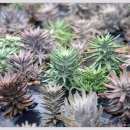 뽕이랑 귀농이랑 이미지