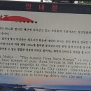 사라봉미용실 티스토리
