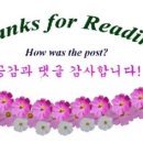 다이소화성팔탄점