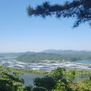 내동면사무소 내 이미지