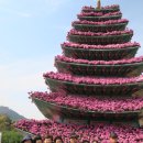 초락2리 이미지