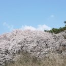 익산시북부청사 이미지