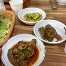 강원도 영월 생선구이 돌솥밥 찐 맛집 후기 [청학동] 동강시스타 근처: 고등어 엄청 큼 주의, 백반좋아