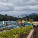 수정산가족체육공원입구 | 수정산 꿈 자람 터 숲속 어린이 놀이터 바다전망 보며 가족과 함께 하면 행복합니다