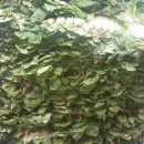 노은동경로당 이미지